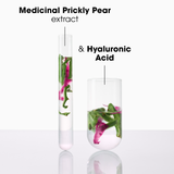 Plumping Mask with Prickly Pear