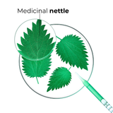 Nettle Shampoo