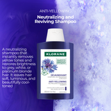 Centaury Silver Highlights Shampoo