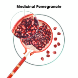 Shampoo with Pomegranate Color-Treated hair