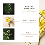 Absolue Kératine Sublime Renewal Cream - leave In