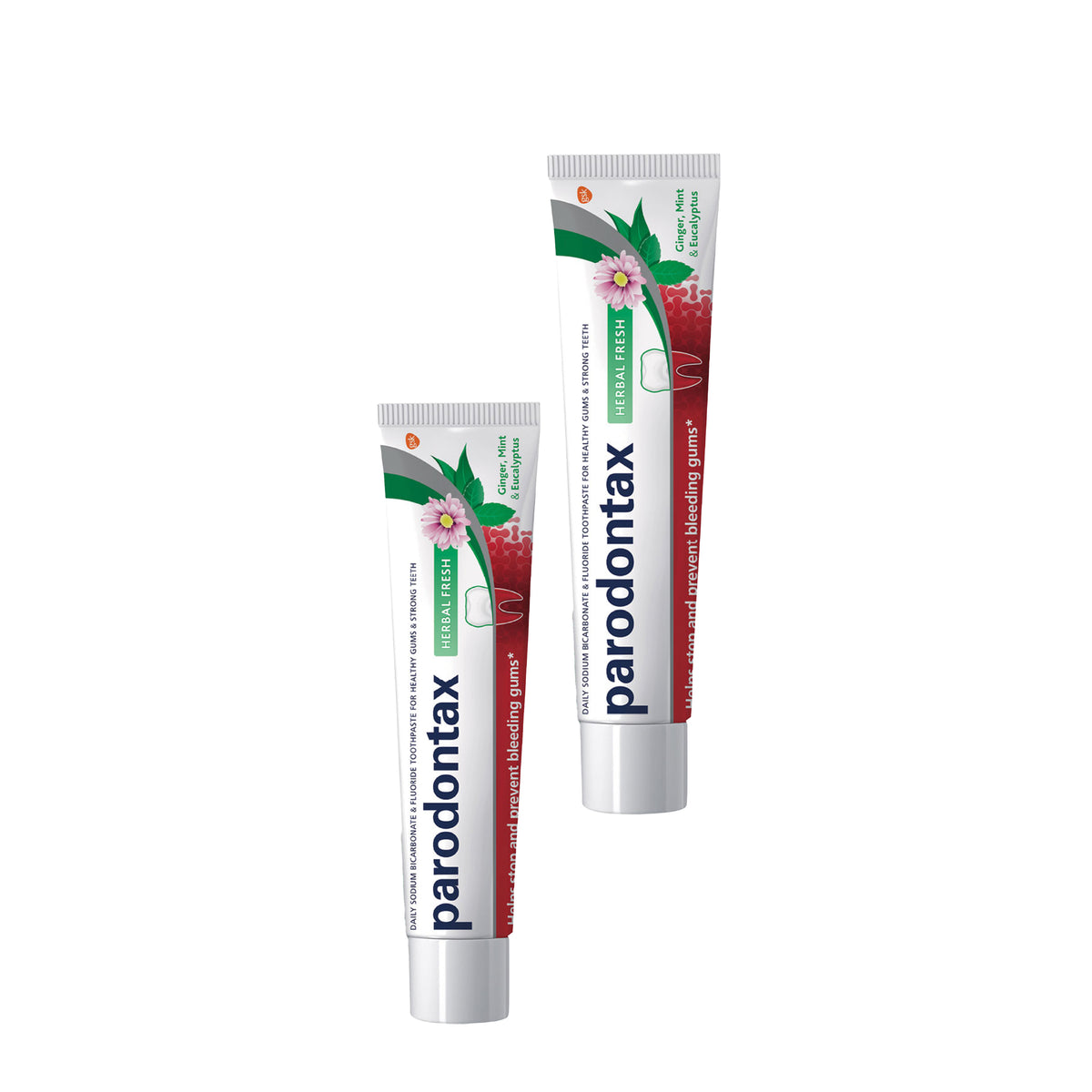 Buy 1 Toothpaste Herbal Ginger & Mint Get 1 FREE