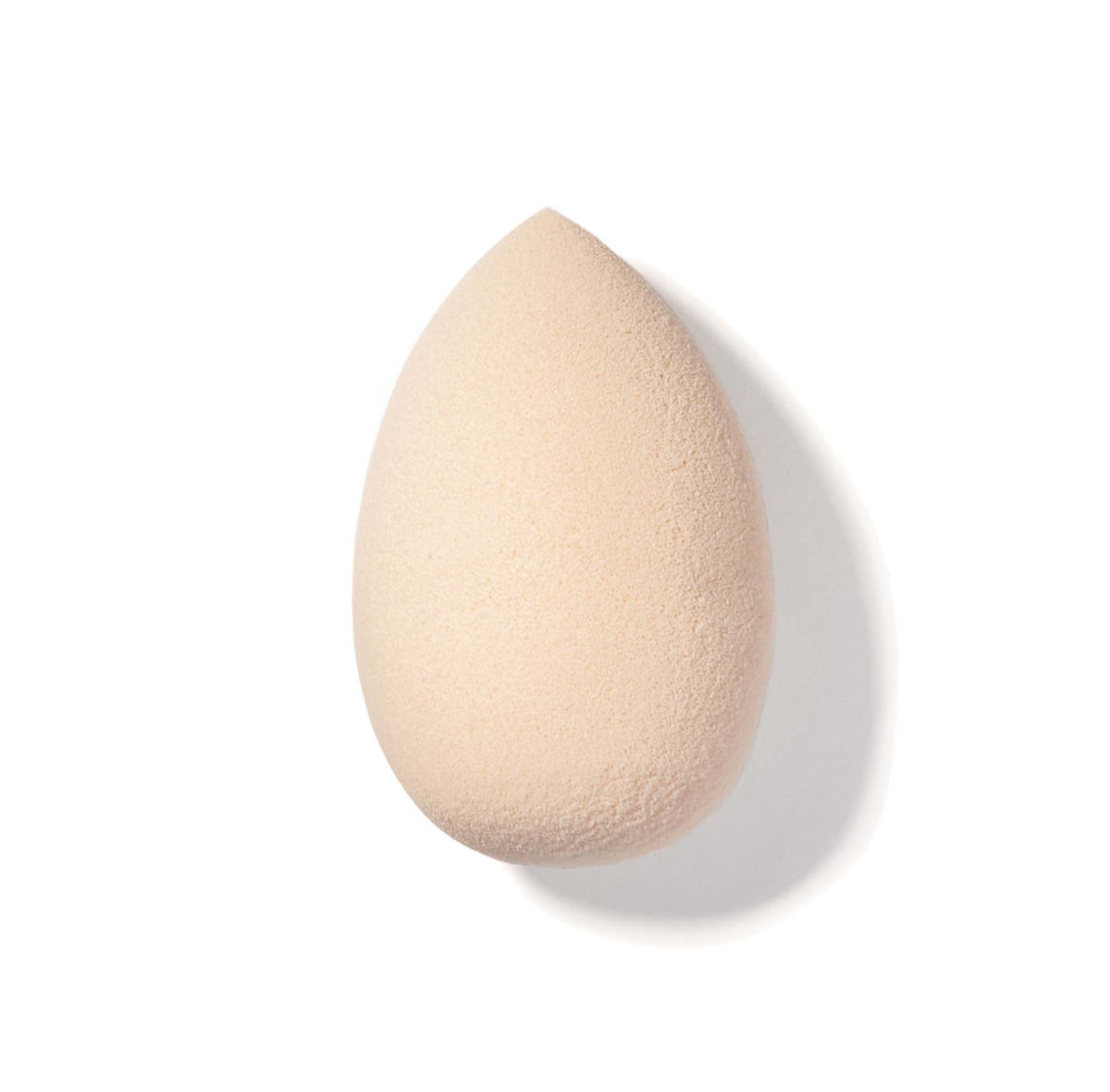 Blending Sponge