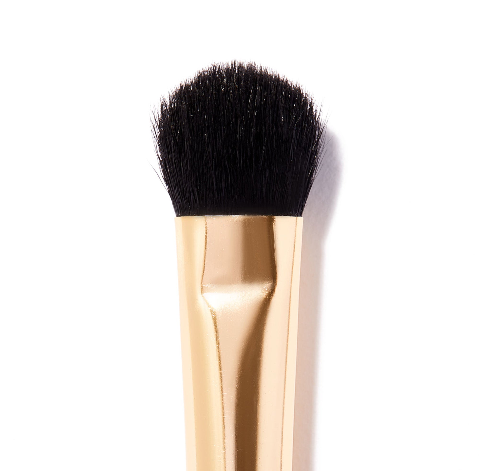 Applicator Brush